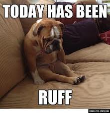 today has been ruff